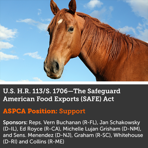 Advocacy Alert ASPCA