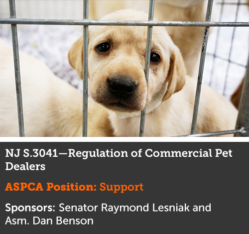 Advocacy Alert Aspca