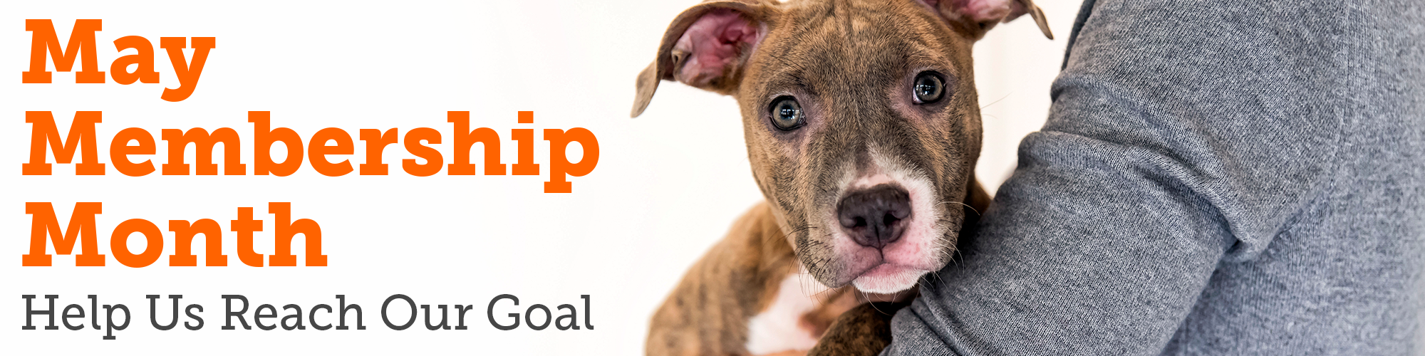 Help Us Reach Our Goal | ASPCA