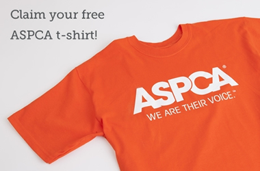 buy aspca t shirt