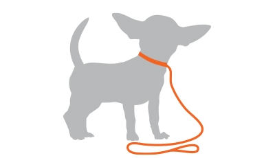 Adopt a Shelter Dog Month Campaign